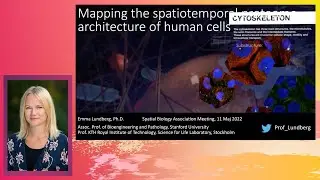 Mapping the Spatiotemporal Proteome Architecture of Human Cells- Dr. Emma Lundberg