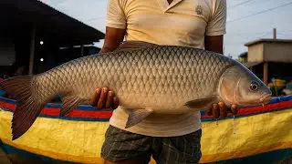 Monster Grass Carp Caught at Local Fish Market | Asian fish market