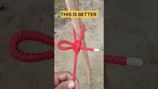 HOW to tie a RESCUE KNOT #💯 SECURE #knots #rescue #rescuedog