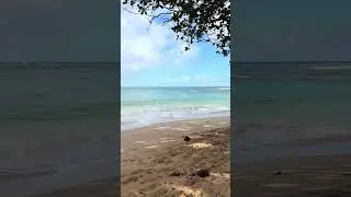 #kauai #vacation #relaxing #asmr #beautiful #beach #hawaii