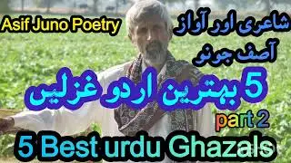 Best 5 urdu Ghazals | urdu romantic poetry | urdu romantic ghazal | Asif Juno |