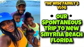Our SPONTANEOUS visit to New Smyrna Beach, Florida | The Wise Family 5 Vlog