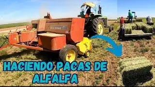 Así se Hacen las pacas de alfalfa / Empacadora New Holland / Valle del Yaqui.