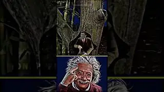 🧠 EINSTEIN SIGMA IQ ⚡