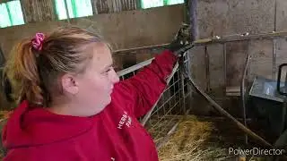 Накормил всех тюками сена, снял неисправный шланг и купил новый. Бен заехал со своим новым дизель...