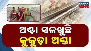 Bazaar Halchaal: Tribal Women Earn Independence Through Poultry Farming In Gajapati
