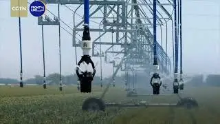 Smart irrigation helps farmers fight extreme weather
