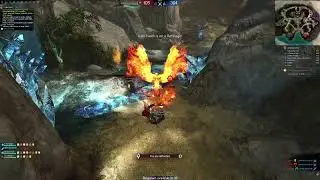 gw2 toothfairy cameron pvp