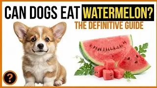 Can Dogs Eat Watermelon? Safe Amount, Benefits, Risks, and Feeding Tips