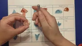 CraftStudios17th Quilling Workshop 02 Loose Coil Variations Part 2