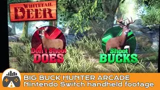 [Big Buck Hunter Arcade] Nintendo Switch handheld footage
