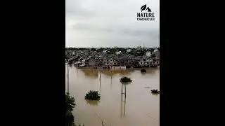 Flood in Pakistan | #shorts #flood #nature #disaster #rescue