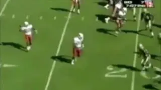 Every Emmitt Smith Pass