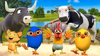 El Pollito y el Tractor de la Granja del Toro y del Pollito la granja de la vaca