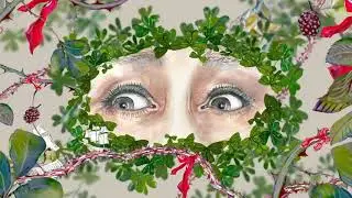 Anatomy of Hope  Rita Duffy