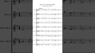 piano to wind ensemble #flute #oboe #clarinet #bassoon #frenchhorn #orchestration #musescore