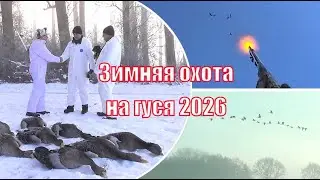 Зимняя охота на серого гуся в Германии 2026 | Январь, снег, мороз и пролёты гусей!