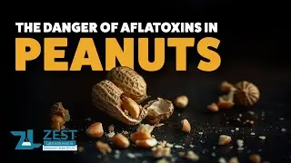 The Invisible Threat: Aflatoxins in Your Peanuts