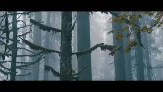 Chords and drums made by an AI algorithm