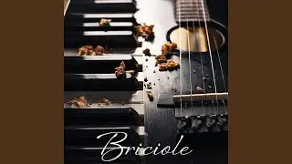 Briciole (Datemi le parole)