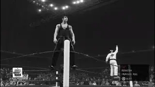 Shaolin Dragons vs. Dory & Terry Funk