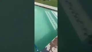 The Pool Specialist