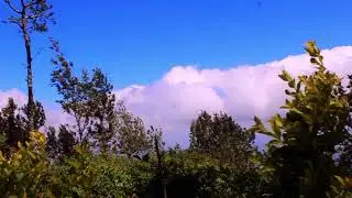 The Wind of Munnar 💚 travel vlog malayalam whatsapp status 💕 Munnar status