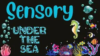 Underwater Sensory Discovery Adventure | Educational Fun for Preschool Kids