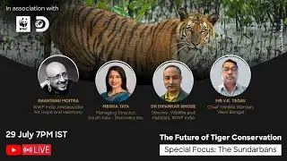 The Future of Tigers in Sundarbans