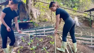Life After Being Kicked Out by My Brother | Building a Vegetable Garden Alone