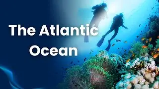 The Atlantic Ocean: A Vital Global Resource|@Documentary_Vault Presents: Human Interest Topic.