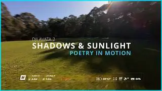 Shadows & Sunlight &ndash; FPV Poetry in Motion | DJI Avata 2 Manual Mode - Scene 2