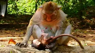 Why mom Toma less care about her daughter Like this?