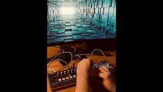 Encryption Protocol 2 - Roland P6 and Korg Volca Bass  #jam #synth #dawless #experimental #weird