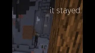 I thought my modded minecraft was going smooth, I made a mistake.