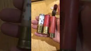 4 Gauge and 8 Gauge shotgun shells