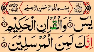 Surah Mulk | Beautiful & Powerful Recitation | Must Listen Before Sleep Ep.713 @piam121 #quran#mulk
