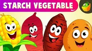 Starch Vegetable - Spelling for Preschool Kids - Fun way of learning vegetables for children
