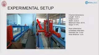 INFLUENCE OF WOOD DENSITY ON BACKWATER RISE DUE TO LARGE WOOD ACUMULATIONS