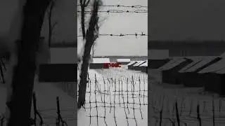 Germany's Forced Labor Nightmare After WWII #History #WWII