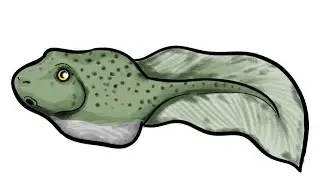 From Sketch to Scare: Drawing the Tadpole Like a Pro!
