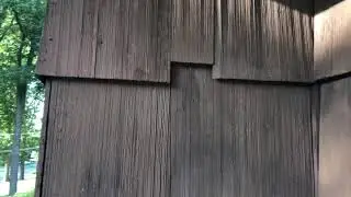 Bat Removal From A Home In Westchester County NY
