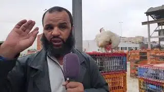 من قلب سوق الدواجن بالجملة بالدارالبيضاء....الدجاج طاح فالثمن لكن ميزان السوق خاسر فيمكن ألمسؤولين