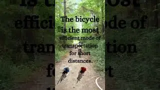 Bicycle   #facts #rainbowkids #bug #bicycle