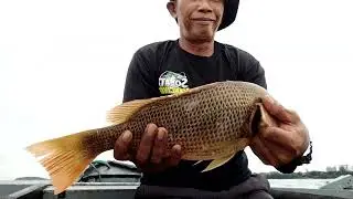 Mancing  di laut belakang.bsb.