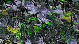 BOO HISS 'PAGEANTRY R&D' [OFFICIAL SHORT FILM]
