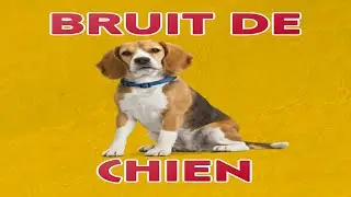 bruit de CHIEN 🐶  (Aboiement)