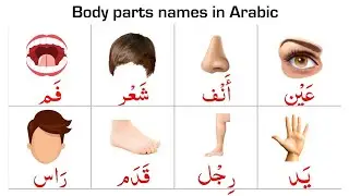 body parts name in Arabic || اسماء اعضاء الجسم || Jism ke Ajza ke naam.