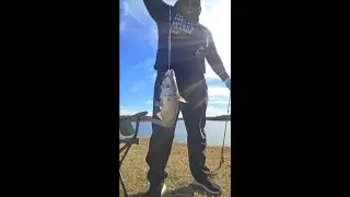 I Didn’t Expect THIS… BIG CATFISH on Day 4 Live 🎣🔥