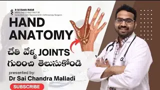 Hand Anatomy/ అనాటమీ గురించి తెలుసుకుందాం..#drsaichandra #handanatomy